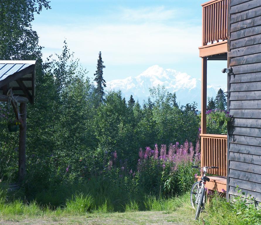 Grace And Bill'S Freedom Hills B&B Talkeetna Ngoại thất bức ảnh