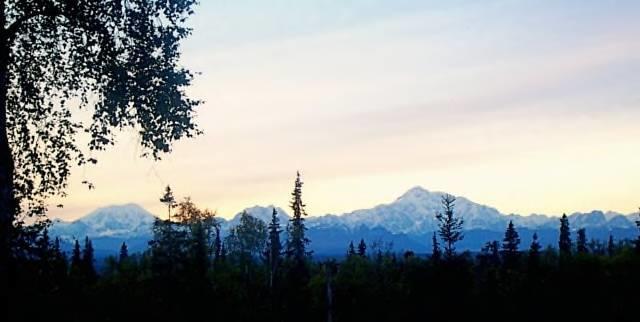 Grace And Bill'S Freedom Hills B&B Talkeetna Ngoại thất bức ảnh