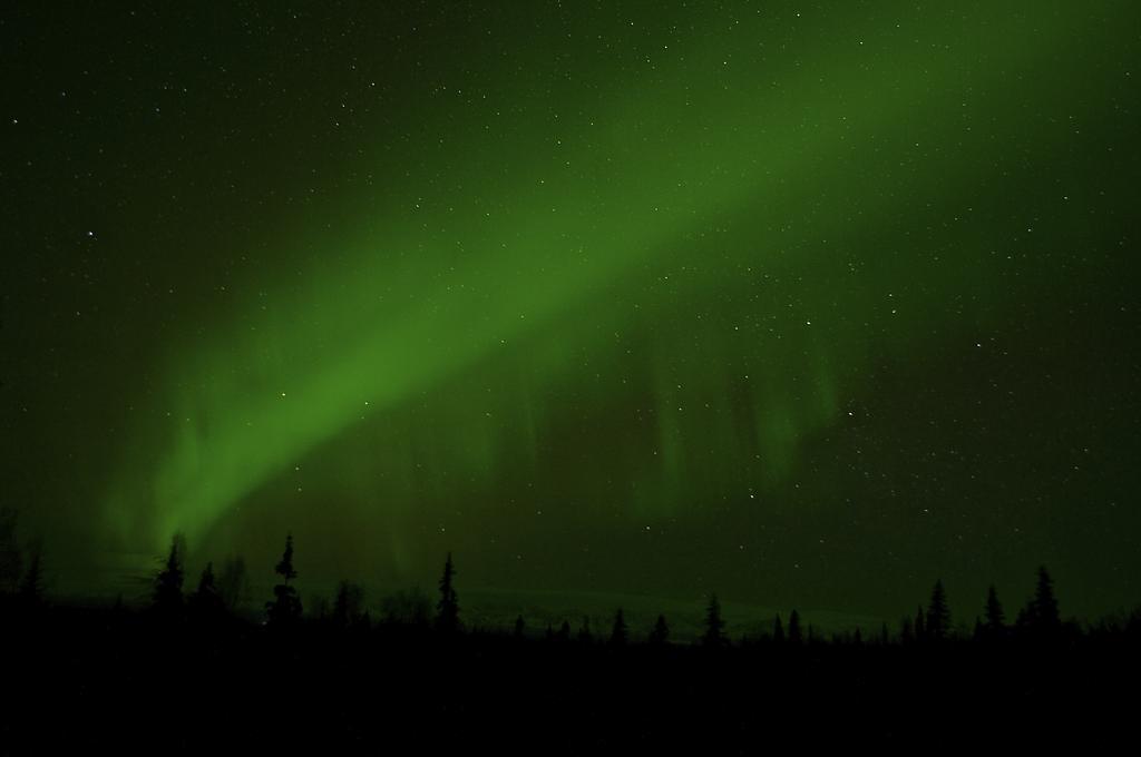 Grace And Bill'S Freedom Hills B&B Talkeetna Ngoại thất bức ảnh