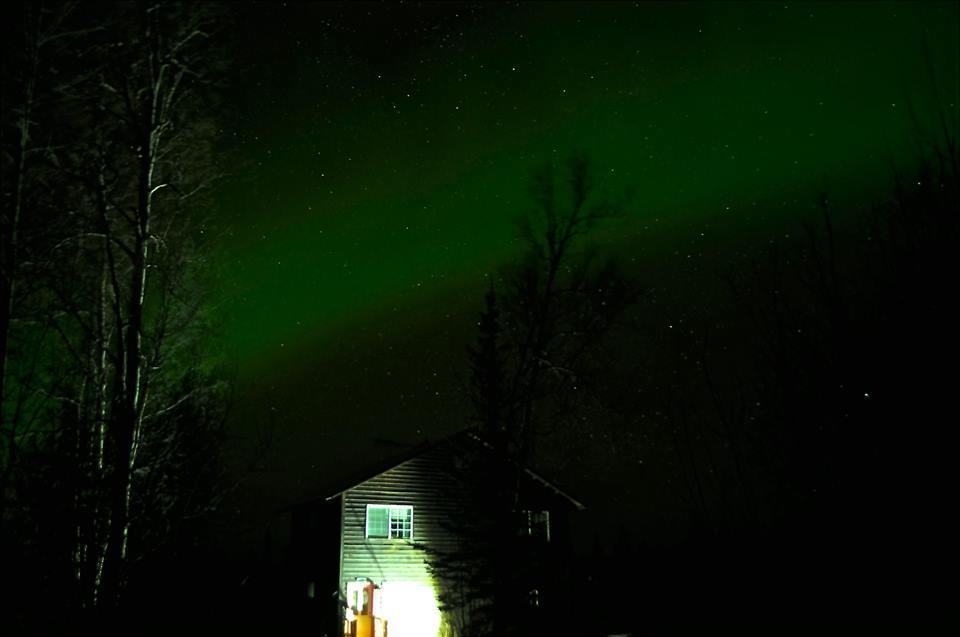 Grace And Bill'S Freedom Hills B&B Talkeetna Ngoại thất bức ảnh