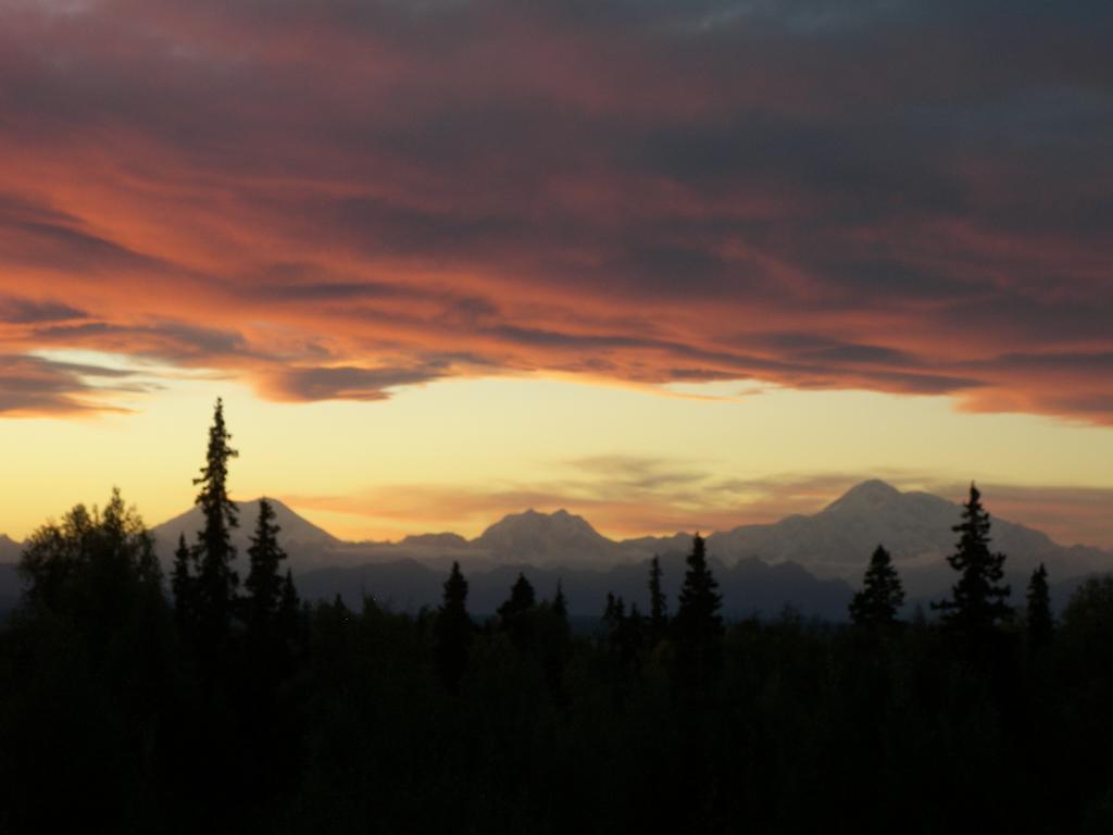 Grace And Bill'S Freedom Hills B&B Talkeetna Ngoại thất bức ảnh