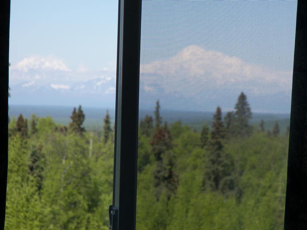 Grace And Bill'S Freedom Hills B&B Talkeetna Ngoại thất bức ảnh