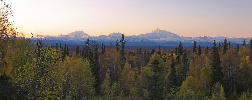 Grace And Bill'S Freedom Hills B&B Talkeetna Ngoại thất bức ảnh